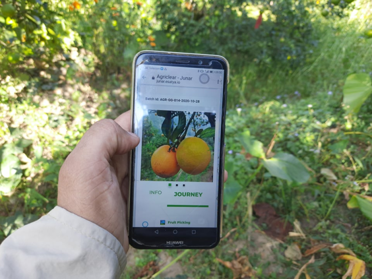 जुनारको ब्लकचेन फूड ट्रेसिएबिलिटी ट्रायल गर्दै किसान