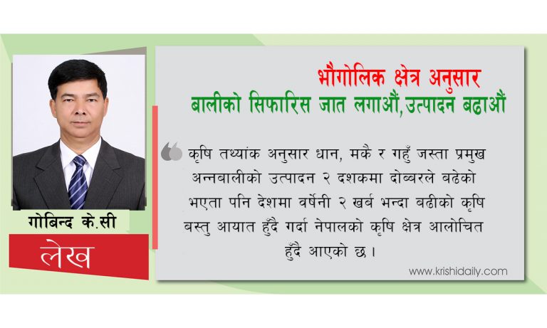 भौगोलिक क्षेत्र अनुसार बालीको सिफारिस जात लगाऔँ, उत्पादन बढाऔँ