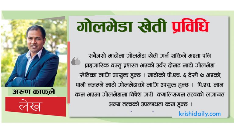 गोलभेडा खेती प्रविधि