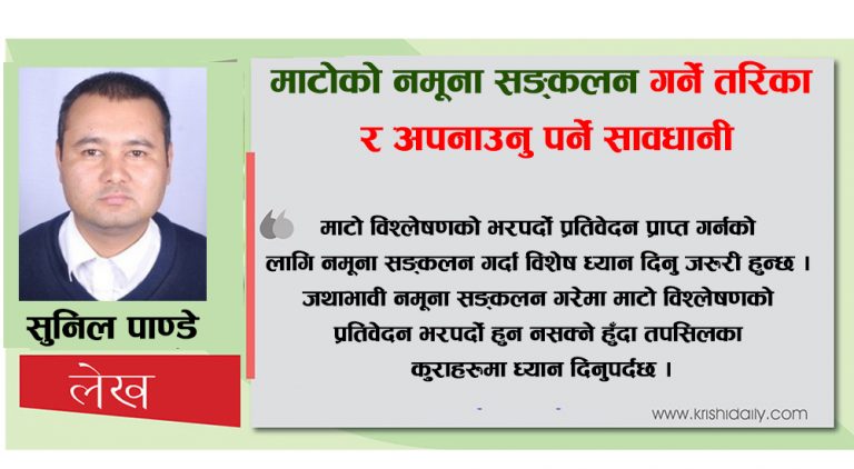 माटोको नमूना सङ्कलन गर्ने तरिका र अपनाउनु पर्ने सावधानी