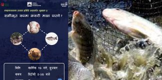 उन्नत माछापालनका लागि निःशुल्क तालिम