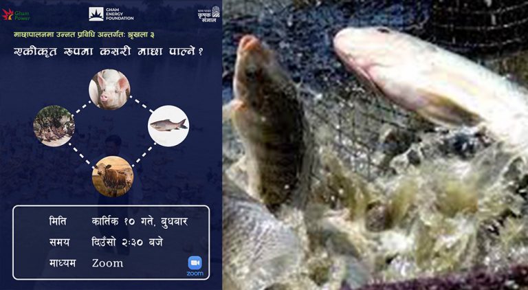 उन्नत माछापालनका लागि निःशुल्क तालिम