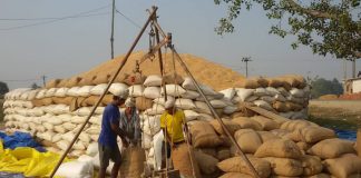 न्यूनतम समर्थन मूल्यमा धान खरिद गर्ने सहकारीलाई सरकारले व्यवस्थापन खर्च दिने
