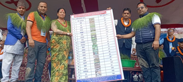 पोखरा महानगरले तोक्यो खुर्सानीदेखि धानसम्मको बिक्री मूल्य