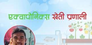 एक्वापोनिक्स खेती प्रणाली के हो ? नेपालमा किन आवश्यक छ ?