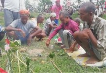 धान उत्पादन बढ्ने विश्वासमा पश्चिम तराईमा गरियो हरेरी पूजा