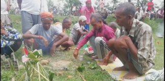 धान उत्पादन बढ्ने विश्वासमा पश्चिम तराईमा गरियो हरेरी पूजा