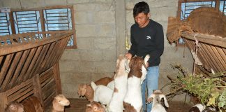 बाख्रापालनबाटै आत्मसन्तुष्टि