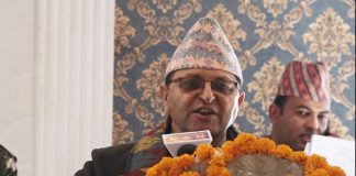 कृषि उत्पादन बढाउन कृषियोग्य जग्गाको खण्डिकरण रोकौं : तिमिल्सिना