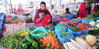 आजबाट तरकारी र खाद्यान्नमा विषादिको मात्रा परीक्षण हुने