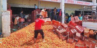 गोलभेंडाको थोक मूल्य नबढाएको झोकमा ब्यापारीको तमासा !