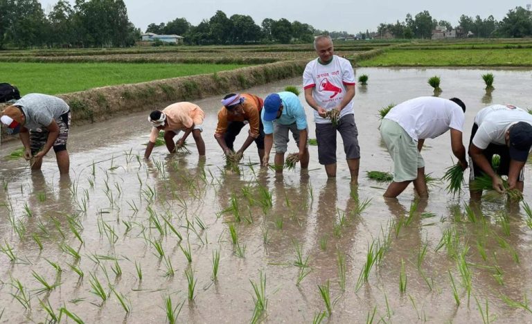 जनमत पार्टीका नेता कार्यक्रताले किसानको धान रोपेपछि…
