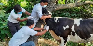 दुई वर्षभित्र खोरेत रोग उन्मूलन गर्ने सरकारको घोषणा