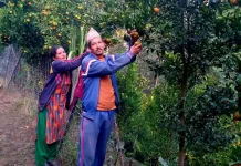 बेनी नगरपालिकाले गर्याे सुन्तलाको मूल्य निर्धारण
