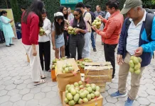 तस्विरमा यस्तो देखियो नेपालकाे पहिलाे ‘म्याङ्गो फेस्ट’